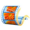 Windows Movie Maker 2012 16.4.3528.331